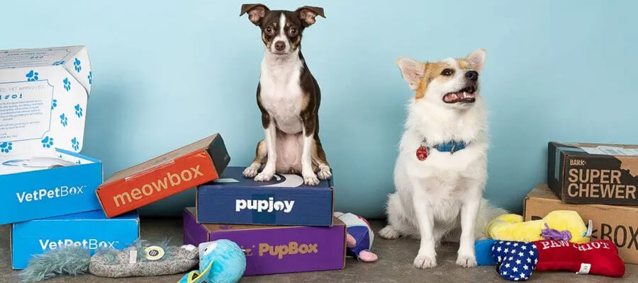  7 Subscription Boxes for Dogs You Should Try